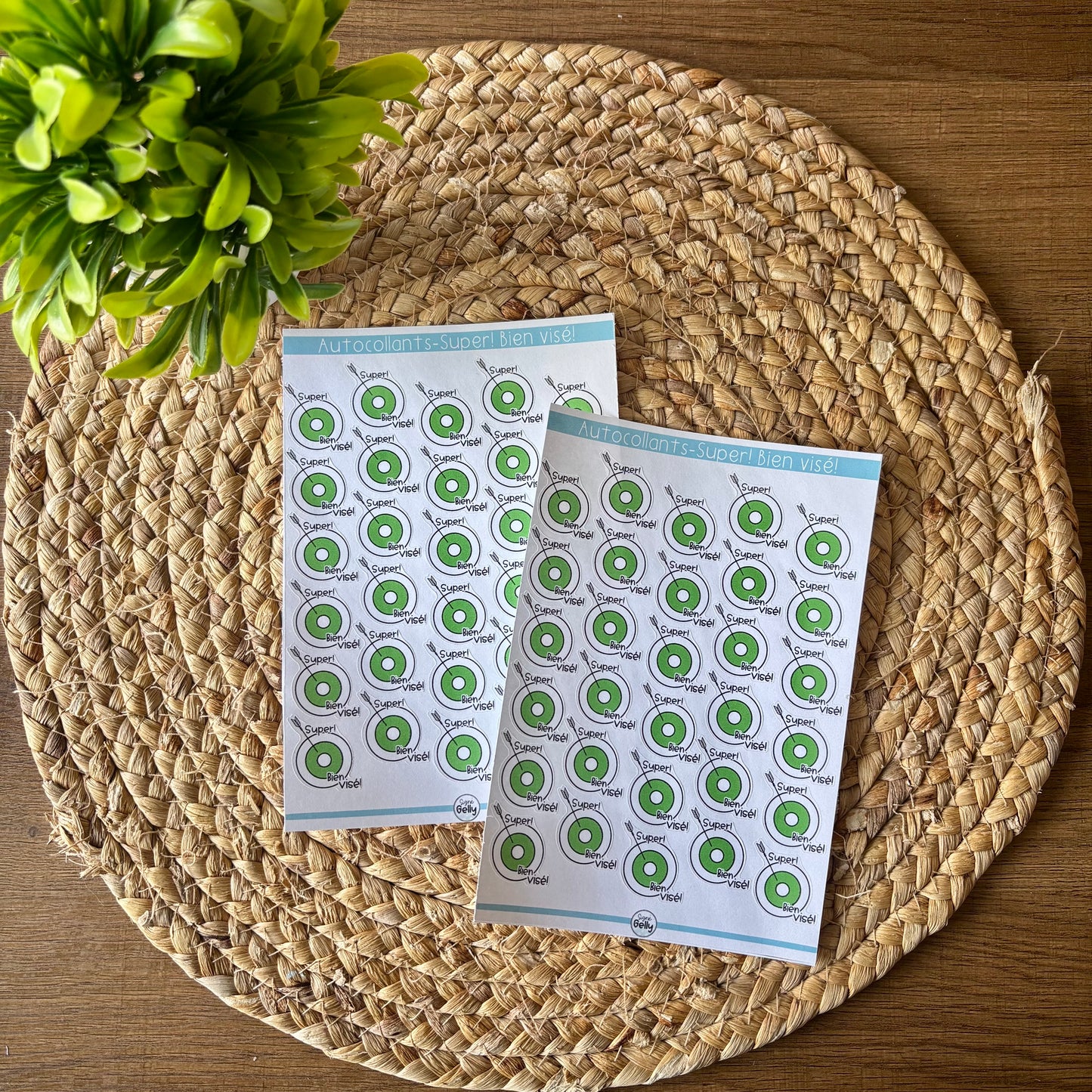 Autocollants- Super! Bien visé!