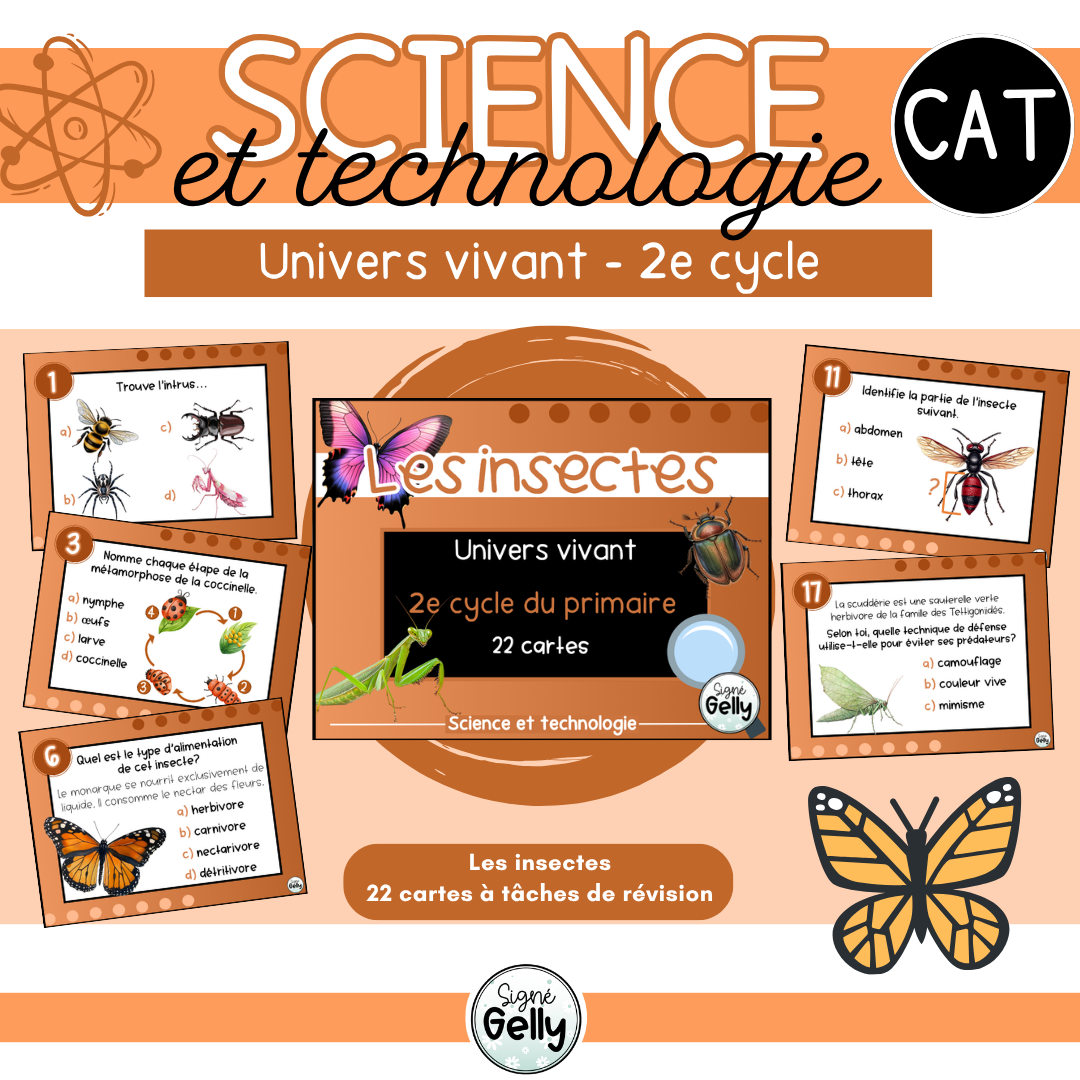CAT- Les insectes