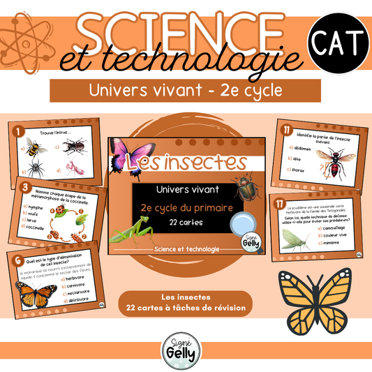 CAT- Les insectes